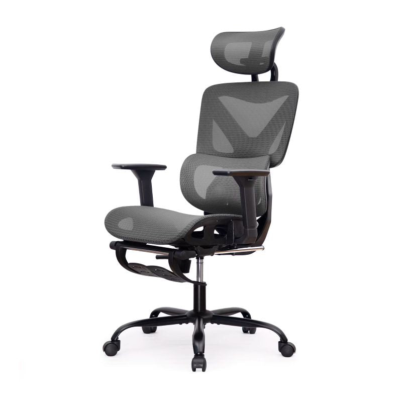 LAUSAINT HOME Ergonomic Office Chair, High Back Desk Chair with Adjustable Lumbar Support & Retractable Footrest, Black