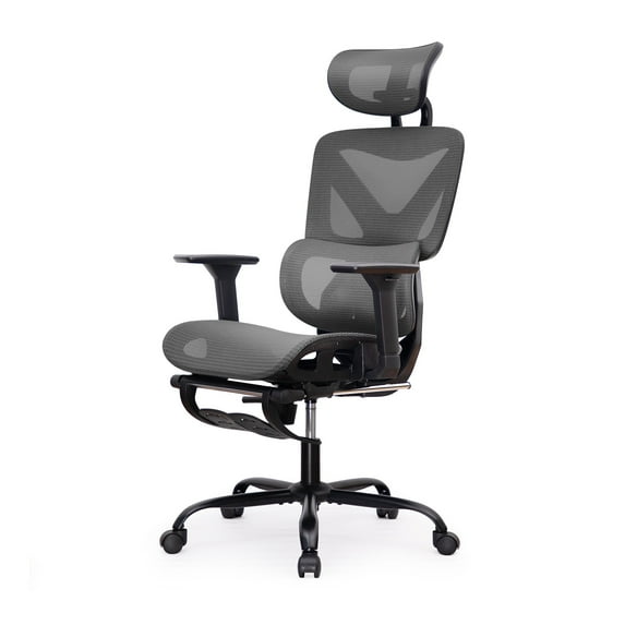 LAUSAINT HOME Ergonomic Office Chair with Adjustable Lumbar Support, Headrest and Armrests, High Back Desk Chair with Retractable Footrest, Black
